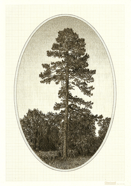 Family Tree I, graphite on graph paper, 29.7 x 21cm, 2012