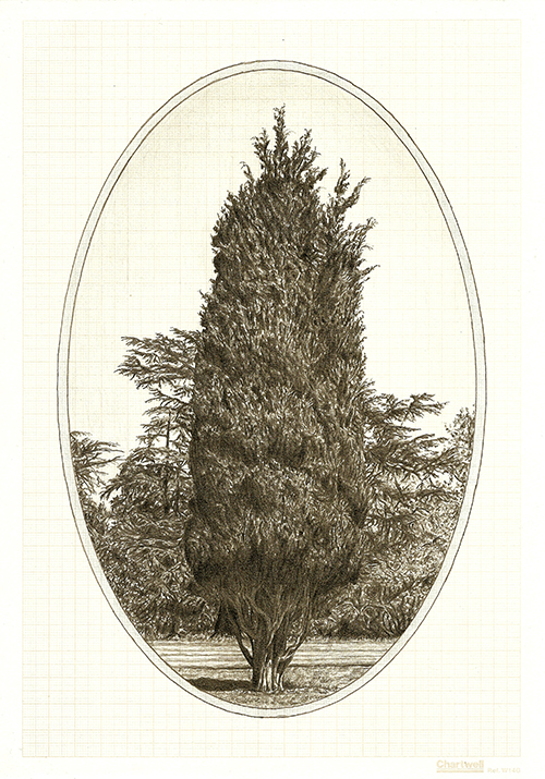 Family Tree II, graphite on graph paper, 29.7 x 21cm, 2012