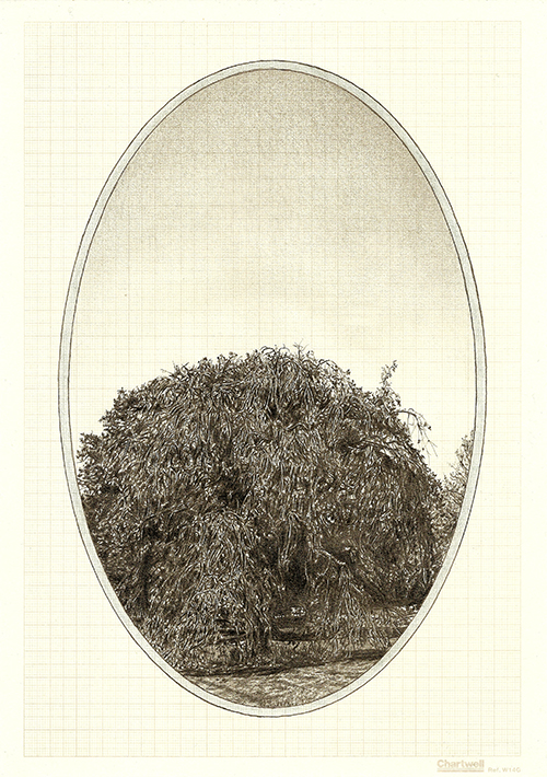 Family Tree III, graphite on graph paper, 29.7 x 21cm, 2013