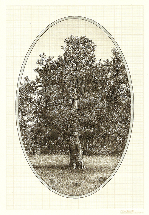 Family Tree IX, graphite on graph paper, 29.7 x 21cm, 2013