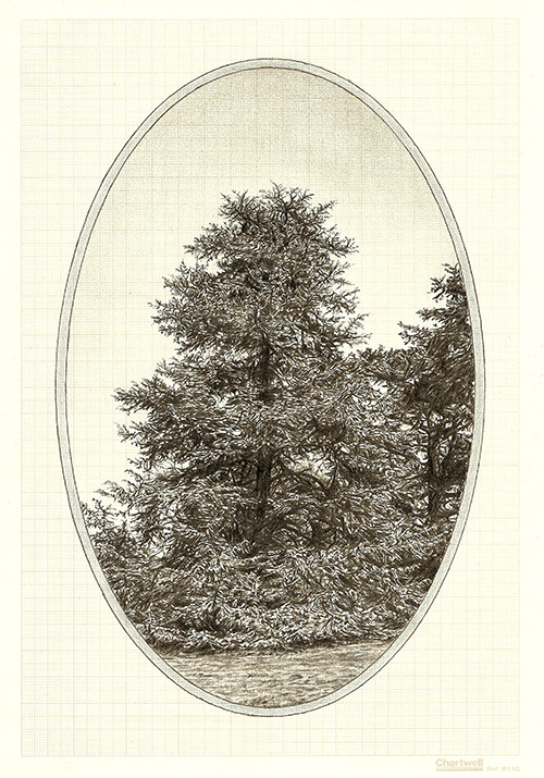 Family Tree V, graphite on graph paper, 29.7 x 21cm, 2013