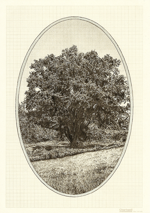 Family Tree VI, graphite on graph paper, 29.7 x 21cm, 2013