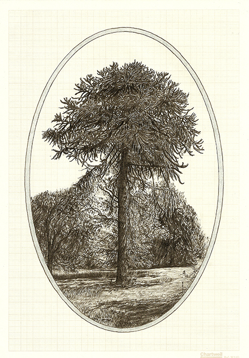 Family Tree VII, graphite on graph paper, 29.7 x 21cm, 2013