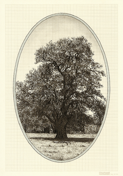 Family Tree VIII, graphite on graph paper, 29.7 x 21cm, 2013