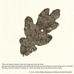 Sibyl's Litter, graphite and printed text on graph paper, 14.5cm x 14.5cm, 2012