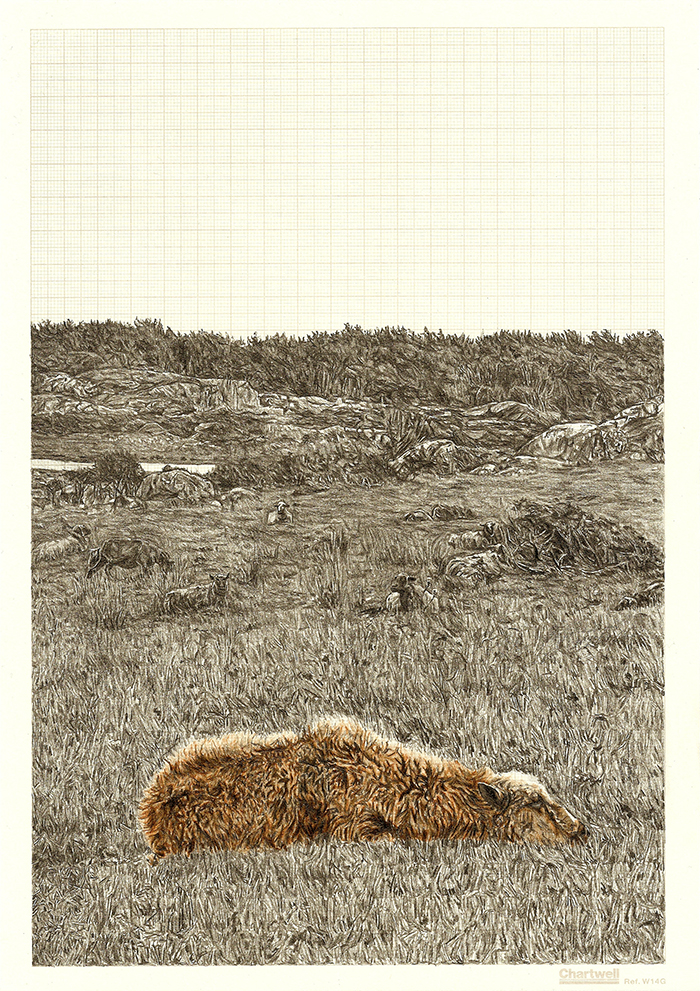 Sheep-Dip, graphite and coloured pencil on graph paper, 29.7cm x 21cm, 2012