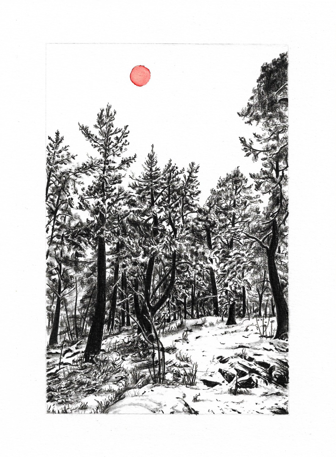 Lady Alchymia Wabdering The White Woods, charcoal and watercolour on paper, 28cm x 21cm, 2018