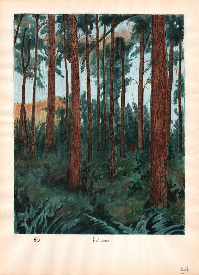 Red Wood, graphite, gouache, watercolour and pyrography on found paper, 37cm x 27cm, 2019