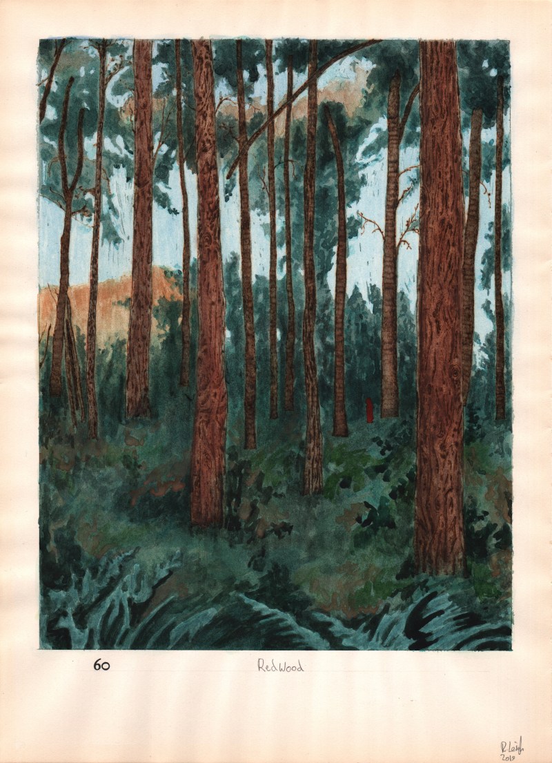 Red Wood, graphite, gouache, watercolour and pyrography on found paper, 37cm x 27cm, 2019