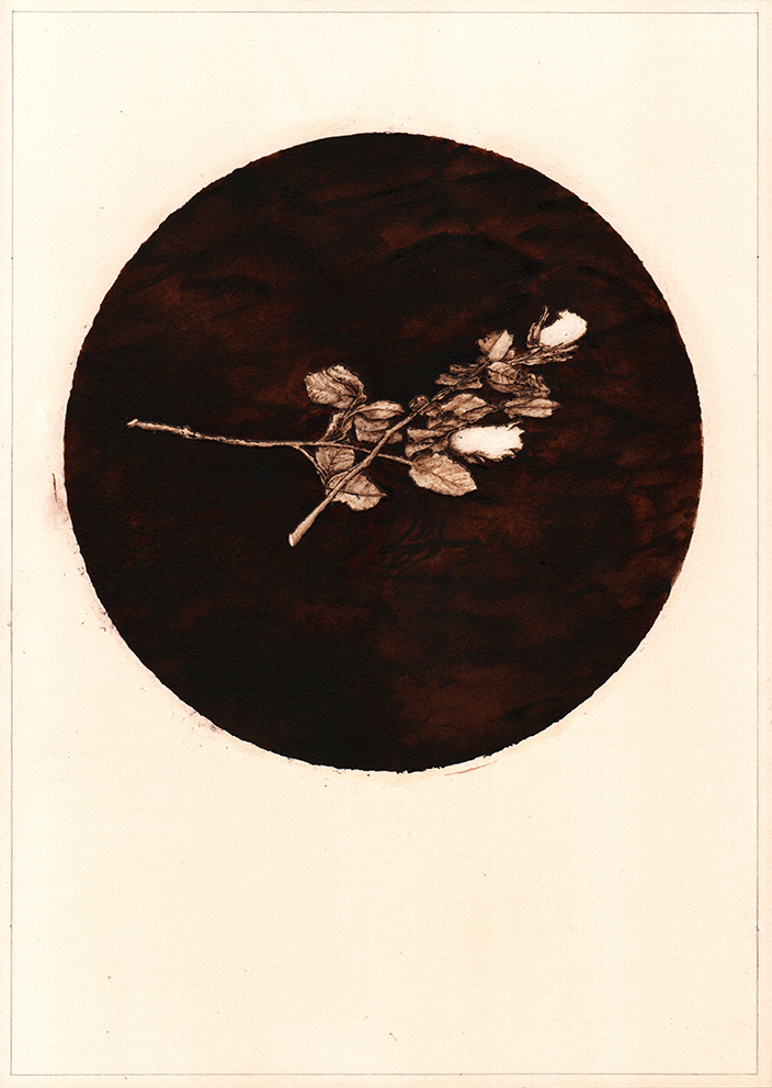 A matter of England (3), graphite, pyrography and ink on tea stained paper, 35cm x 25cm, 2020