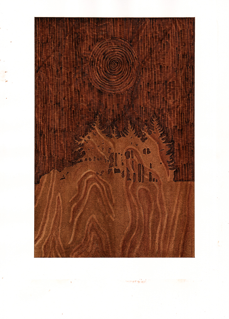 Enchanted Evening, graphite, watercolour and pyrography on paper, 36cm x 26cm, 2019