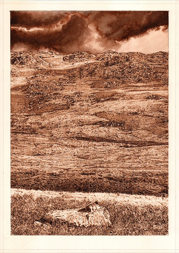 English landscape with a sheep on a sun kissed rock.