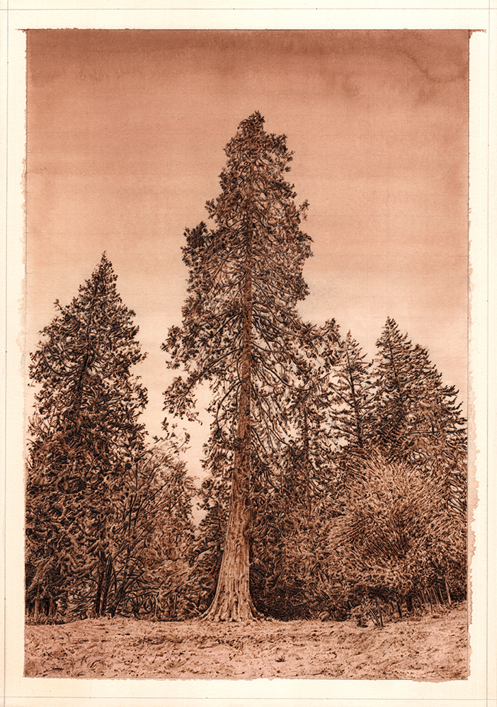 English landscape with dense forest.